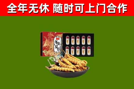 西夏区回收冬虫夏草价格
